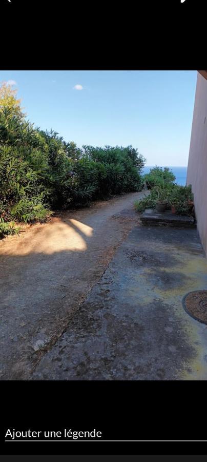 Studio Plage Santa-Maria-di-Lota Zewnętrze zdjęcie
